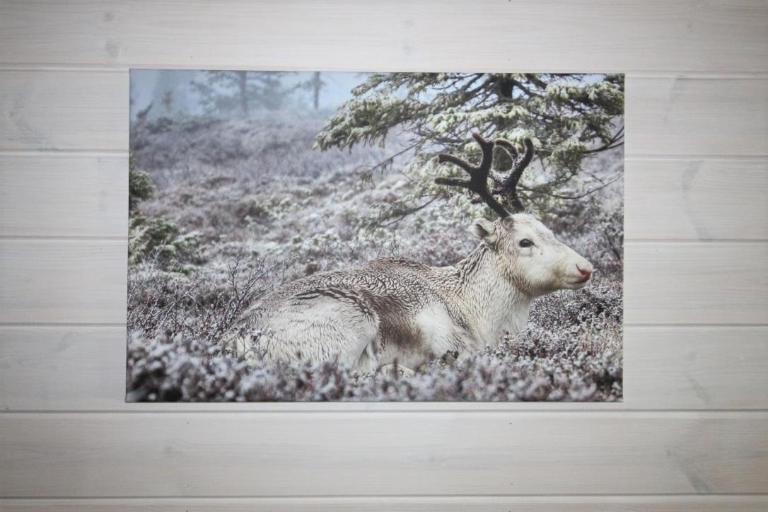 Lapland Happiness Hillakka 2 A8 Appartement Äkäslompolo Buitenkant foto